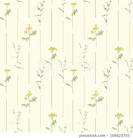 Seamless pattern watercolor common tansy. Yellow field flower. Hand drawn illustration isolated background. Wallpaper with botanical wildflowers striped Seamless pattern watercolor common tansy. Yellow field flower. Hand drawn illustration isolated background. Wallpaper with botanical wildflowers striped 109828705