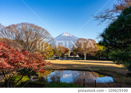 Mt. Fuji in late autumn seen from Fuji City Central Park Fuji City, Shizuoka Prefecture Mt. Fuji in late autumn seen from Fuji City Central Park Fuji City, Shizuoka Prefecture 109829390