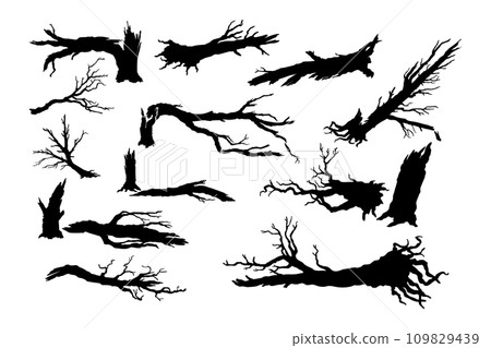 Broken tree isolated silhouettes. Black template of destroyed forest. Fallen wood. Branches and trunks after storm 109829439