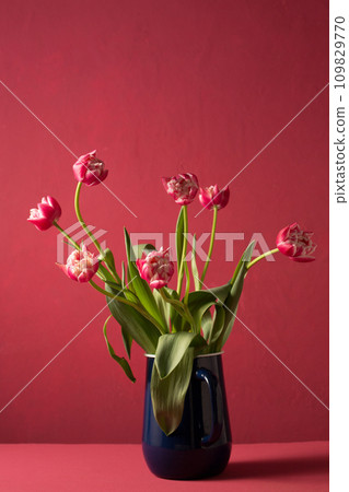 Beautiful bouquet of tulips in a blue vintage metal carafe on a pink background 109829770