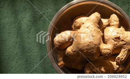 Japanese ginger root (ginger root) Ginger harvested in the fall is aged to produce a ginger with a firm texture. 109829952