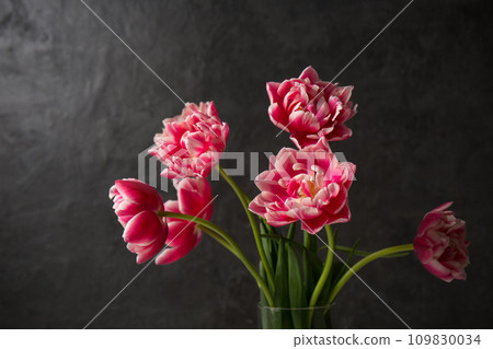 Beautiful bouquet of pink terry tulips in a transparent vase on a dark background 109830034