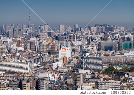 [Tokyo] View of central Tokyo from Kawasaki 109830833