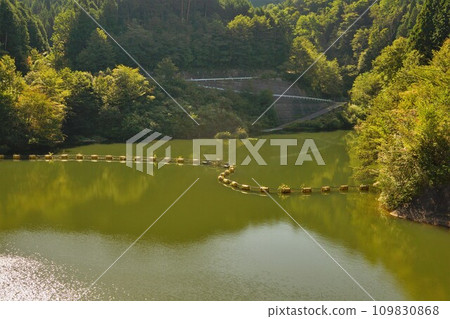 岩村水壩的三森山湖 岩村水壩的三森山湖 109830868
