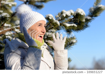 Nice old woman in a fur coat in the winter 109831227