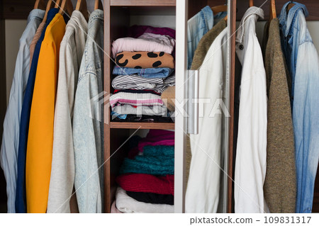 Wardrobe closet with different stylish clothes, home Wardrobe closet with different stylish clothes, home 109831317
