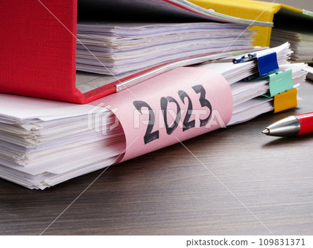 Accounting documents and financial statements for 2023. 109831371