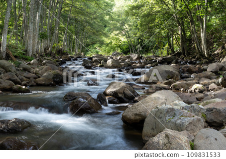 A mountain stream flowing through a fresh green forest A mountain stream flowing through a fresh green forest 109831533