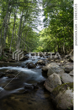 Hinoemada River with beautiful fresh greenery Hinoemada River with beautiful fresh greenery 109831535