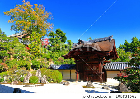 [京都府]晴天時的信樂庭園及光明寺欽差門 109831562