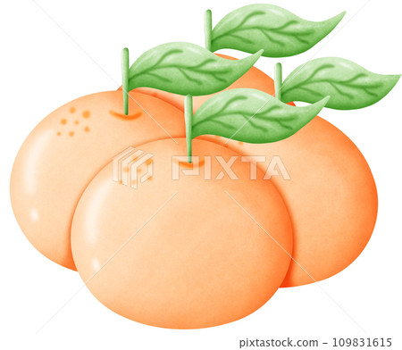 Oranges are auspicious fruits suitable for worship at various festivals. 109831615