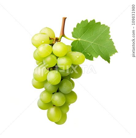 Grapes on white backgrounds Grapes on white backgrounds 109831980