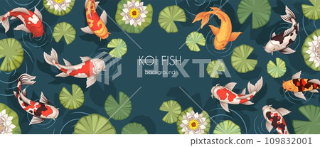 Japanese carp in pond. Spotted gold koi fish, water lilies, lotuses with green leaves, traditional asian decorative natural oriental design. Web horizontal banner. Tidy vector concept 109832001