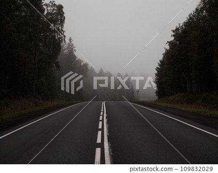 Empty asphalt road in foggy forest. Curved roadway, trees with green foliage in fog and overcast sky. Landscape with empty asphalt road through woodland in summer. 109832029