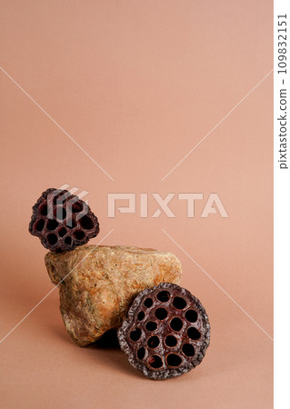 Abstract nature scene with composition of stone and dry plants. beige background for cosmetic, beauty product branding, identity and packaging. Natural pastel colors. Copy space Abstract nature scene with composition of stone and dry plants. beige background for cosmetic, beauty product branding, identity and packaging. Natural pastel colors. Copy space 109832151