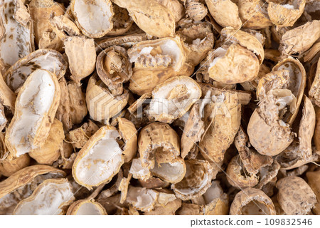 Top view of peanut shell background and texture. Top view of peanut shell background and texture. 109832546