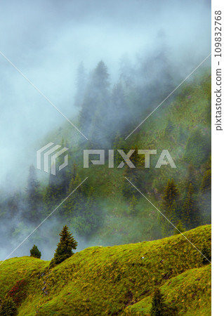 landscape with hills, trees and fog 109832768