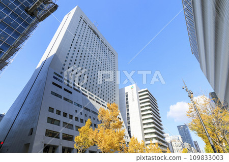 秋天的御堂筋，大阪市中央區心齋橋 109833003