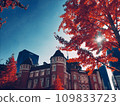  Tokyo Station 109833723