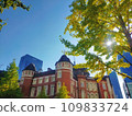 Morning of Tokyo Station 109833724