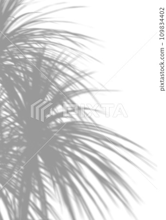Shadow from palm leaves, overlay effect. Realistic gray shadow on white background. Applicable for product presentation, photos, backdrop. Sun light. 3D render. Shadow from palm leaves, overlay effect. Realistic gray shadow on white background. Applicable for product presentation, photos, backdrop. Sun light. 3D render. 109834402