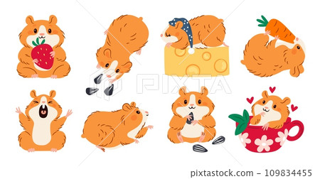 Cute hamster. Little animal. Rodent mascot. Different actions and poses. Domestic rat eats seeds or cheese. Pet holding strawberries and carrots. Adorable mammal in cup. Garish vector set Cute hamster. Little animal. Rodent mascot. Different actions and poses. Domestic rat eats seeds or cheese. Pet holding strawberries and carrots. Adorable mammal in cup. Garish vector set 109834455