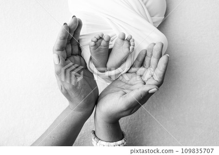 The palms of the parents, father and mother hold the legs, feet of a newborn baby. Feet, heels and toes of a newborn child close -up. Professional macro photo. Black and white.  109835707
