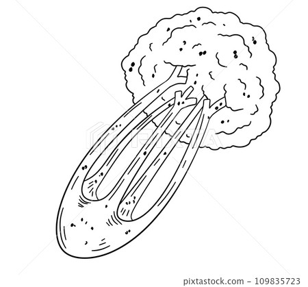 Celery cartoon hand drawn illustration. Green vegetable. Healthy nutrition. Ingredients for salad isolated on white. Celery cartoon hand drawn illustration. Green vegetable. Healthy nutrition. Ingredients for salad isolated on white. 109835723