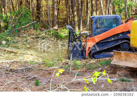 During clean forest contractor used tracked general purpose vehicles equipped with forestry mulchers 109836162