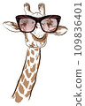 Giraffe with sunglasses - vector illustration 109836401