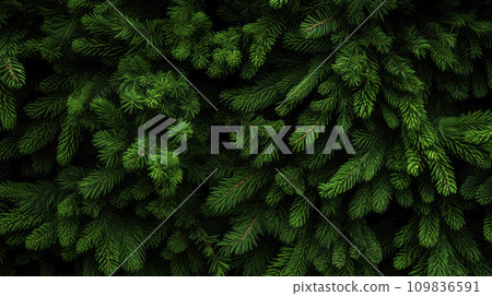 AI-generated content. A Close Up View of a Green Tree 109836591