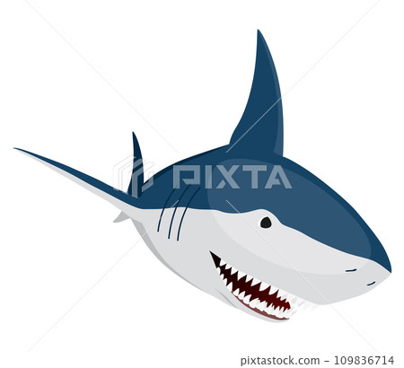 Shark. Marine predator fish character. Underwater wildlife or ocean animal. Cartoon flat isolated icon on white background. Vector illustration 109836714