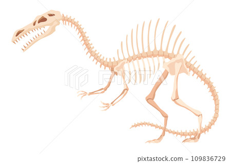 Dinosaur skeleton. Dino monsters icon. Shape of real animal. Sketch of prehistoric reptiles. Vector illustration isolated on white. Hand drawn sketch Dinosaur skeleton. Dino monsters icon. Shape of real animal. Sketch of prehistoric reptiles. Vector illustration isolated on white. Hand drawn sketch 109836729