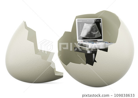 Egg with medical ultrasound diagnostic machine inside, 3D rendering Egg with medical ultrasound diagnostic machine inside, 3D rendering 109838633