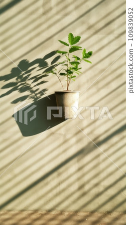Shadow on a natural-colored wall from a window 109839052