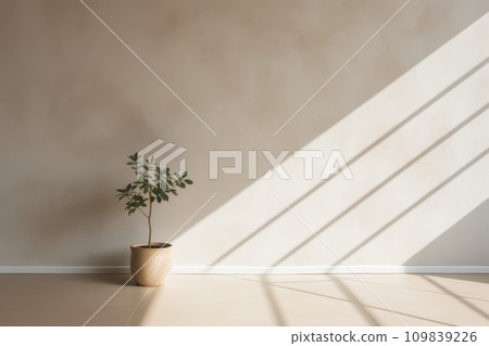 Shadow on a natural-colored wall from a window Shadow on a natural-colored wall from a window 109839226