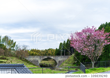 櫻花季、旅遊勝地通潤橋【道之驛通潤橋】(熊本縣上今敷郡大和町) 櫻花季、旅遊勝地通潤橋【道之驛通潤橋】(熊本縣上今敷郡大和町) 109839240