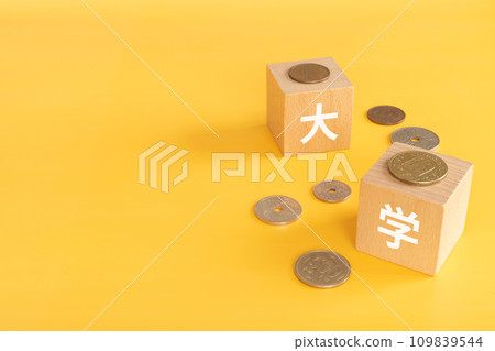 Blocks and money with university letters on them Blocks and money with university letters on them 109839544