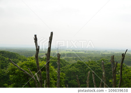 原始森林（北斗遺跡/北海道釧路市北斗） 109839638