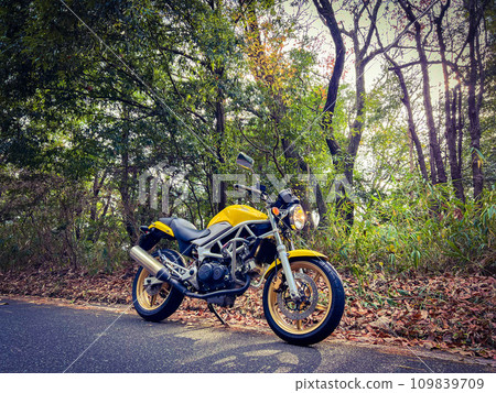bike in the forest bike in the forest 109839709