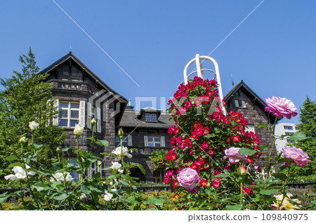 Tokyo Old Furukawa Garden Spring rose scenery Metropolitan Garden 109840975