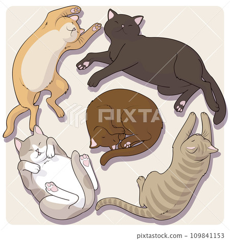 Collection of cute cartoon cats in various poses. Funny vector illustration Collection of cute cartoon cats in various poses. Funny vector illustration 109841153