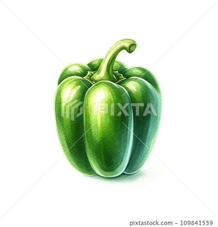 簡單的「青椒」水彩插圖 109841539