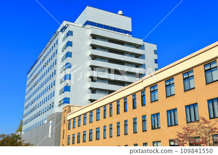 [Saga Prefecture] Old and new buildings of Saga Prefectural Office on a sunny day 109841550