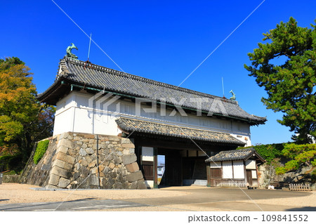 [Saga Prefecture] Clear skies at Saga Castle Shachi no Mon 109841552