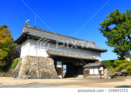 [Saga Prefecture] Clear skies at Saga Castle Shachi no Mon 109841553