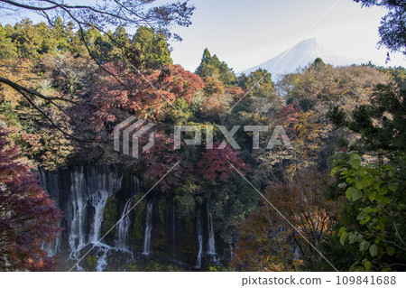 Shiraito Falls Mt.Fuji Shiraito Falls Mt.Fuji 109841688