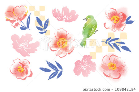 Camellia and white-eye background illustration material set Camellia and white-eye background illustration material set 109842184