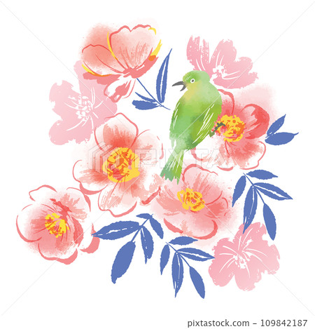 山茶花和白眼背景插畫素材 山茶花和白眼背景插畫素材 109842187