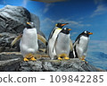 Gentoo 和國王企鵝朋友 109842285